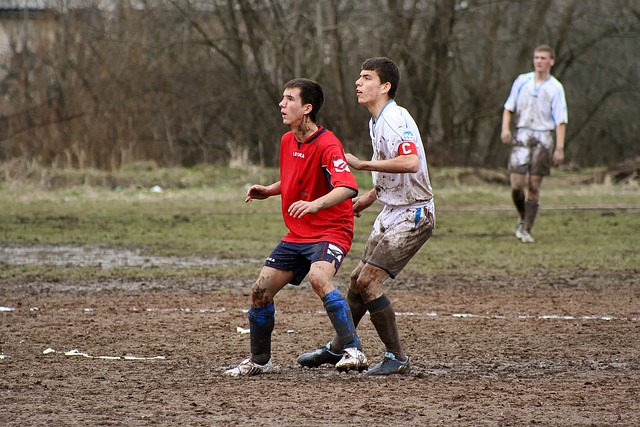 与实时解说 与实时解说