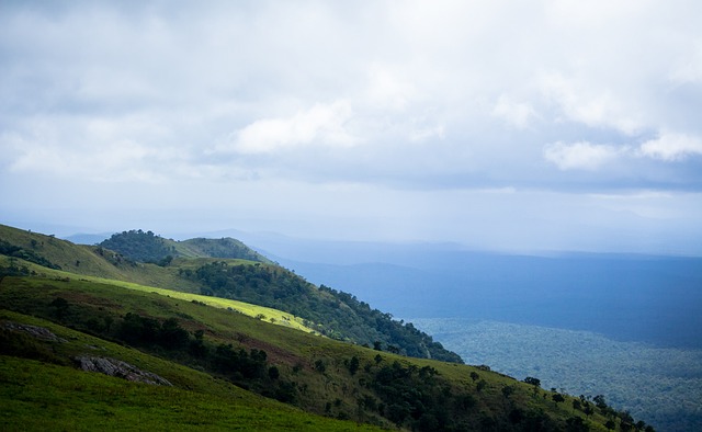 成功地用頭 成功地用頭