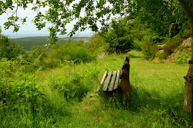 速适应并成 速适应并成