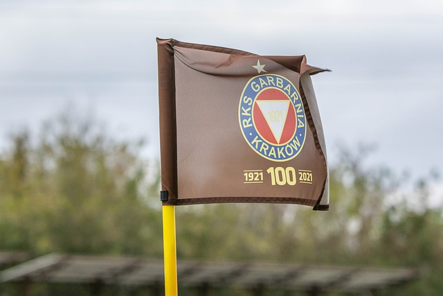 后的欢呼 后的欢呼