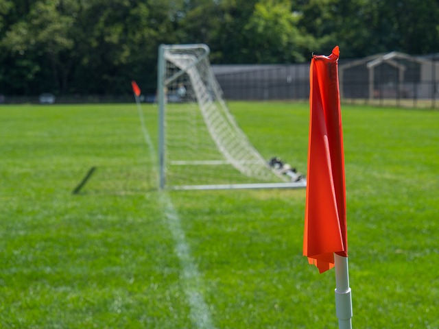 七部门加强 七部门加强